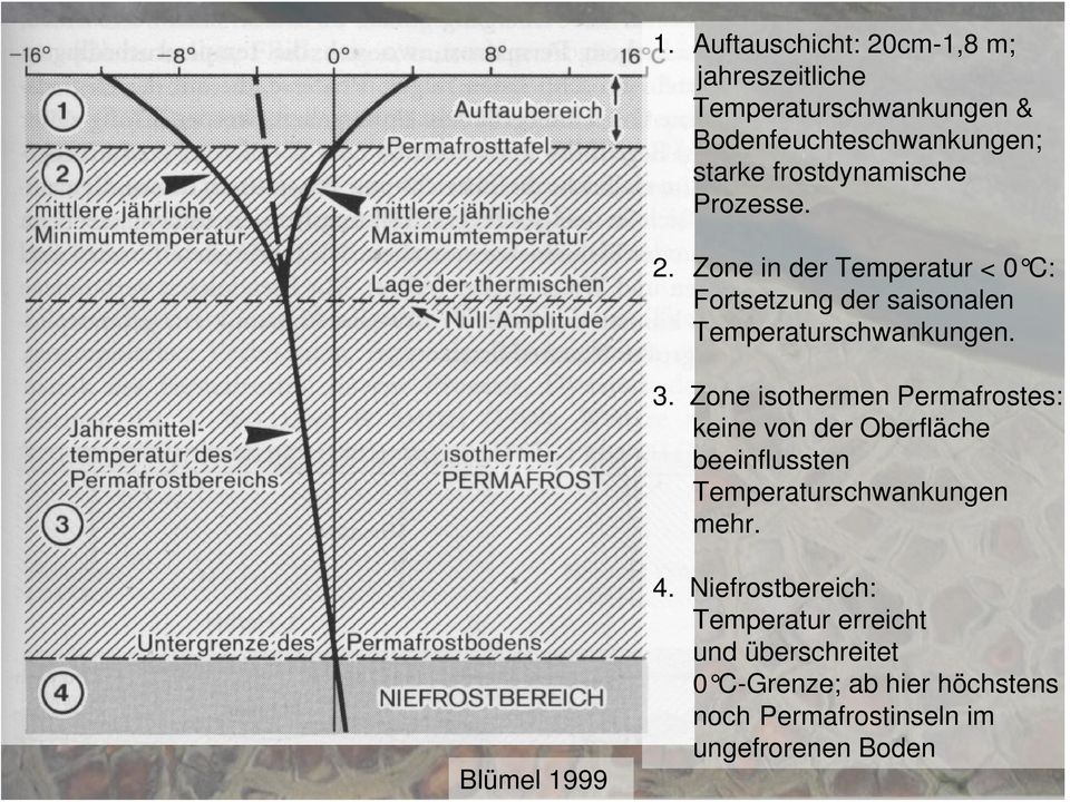 Zone isothermen Permafrostes: keine von der Oberfläche beeinflussten Temperaturschwankungen mehr. Blümel 1999 4.