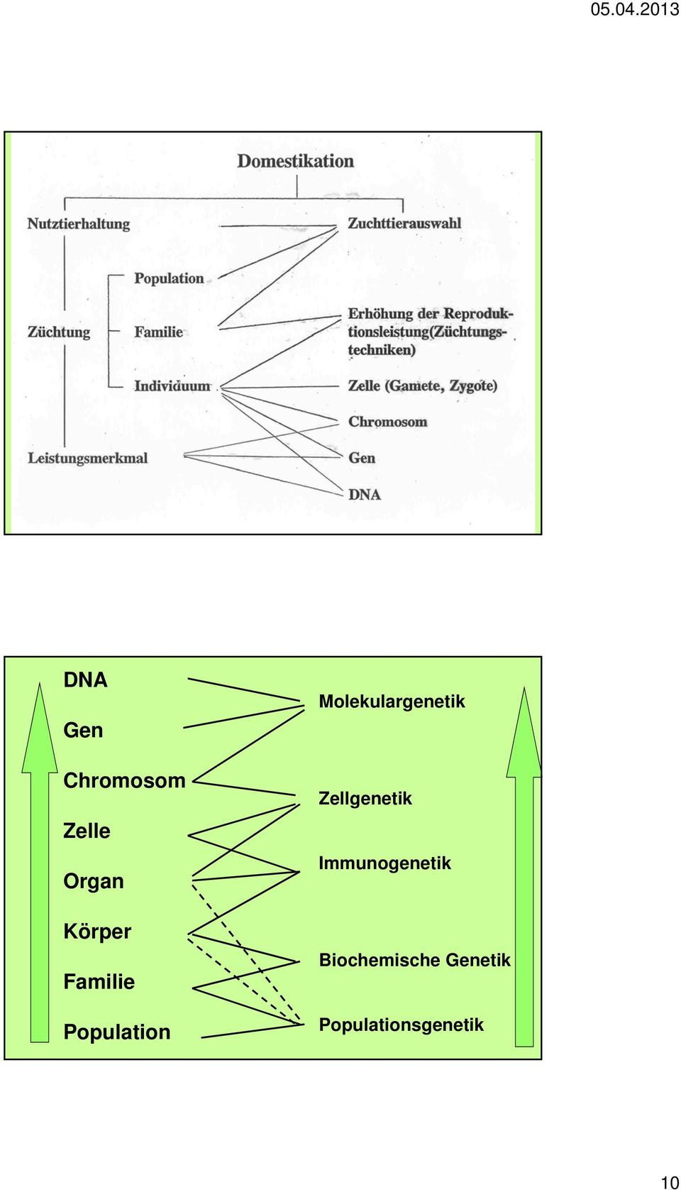 Molekulargenetik Zellgenetik