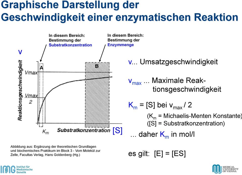 .. Maximale Reaktionsgeschwindigkeit [S] K m = [S] bei v max / 2 (K m = Michaelis-Menten Konstante) ([S] = Substratkonzentration).