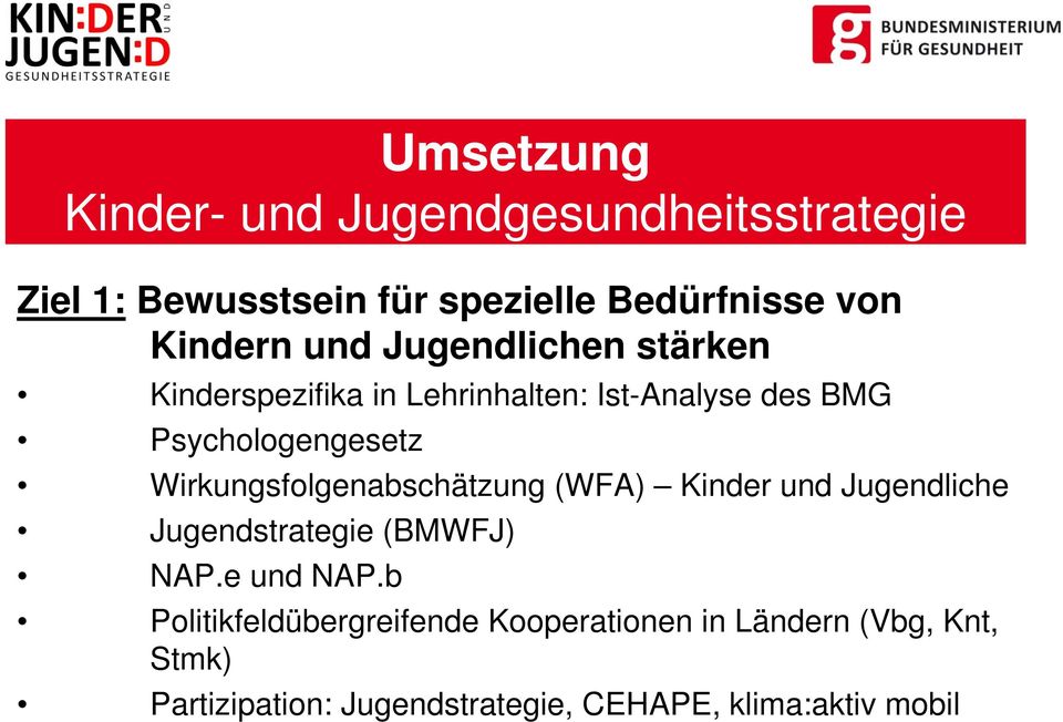 Wirkungsfolgenabschätzung (WFA) Kinder und Jugendliche Jugendstrategie (BMWFJ) NAP.e und NAP.
