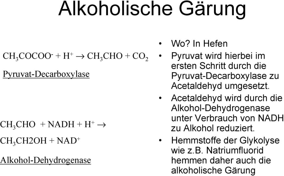 In Hefen Pyruvat wird hierbei im ersten Schritt durch die Pyruvat-Decarboxylase zu Acetaldehyd umgesetzt.