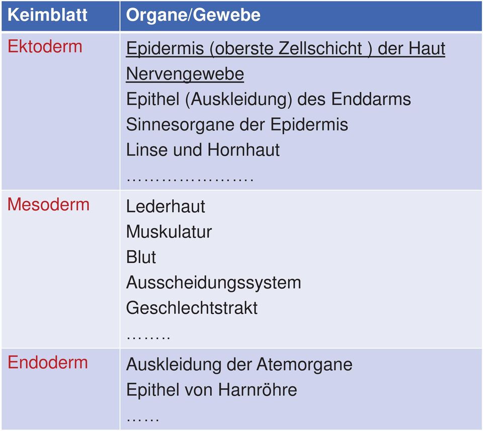 Sinnesorgane der Epidermis Linse und Hornhaut.