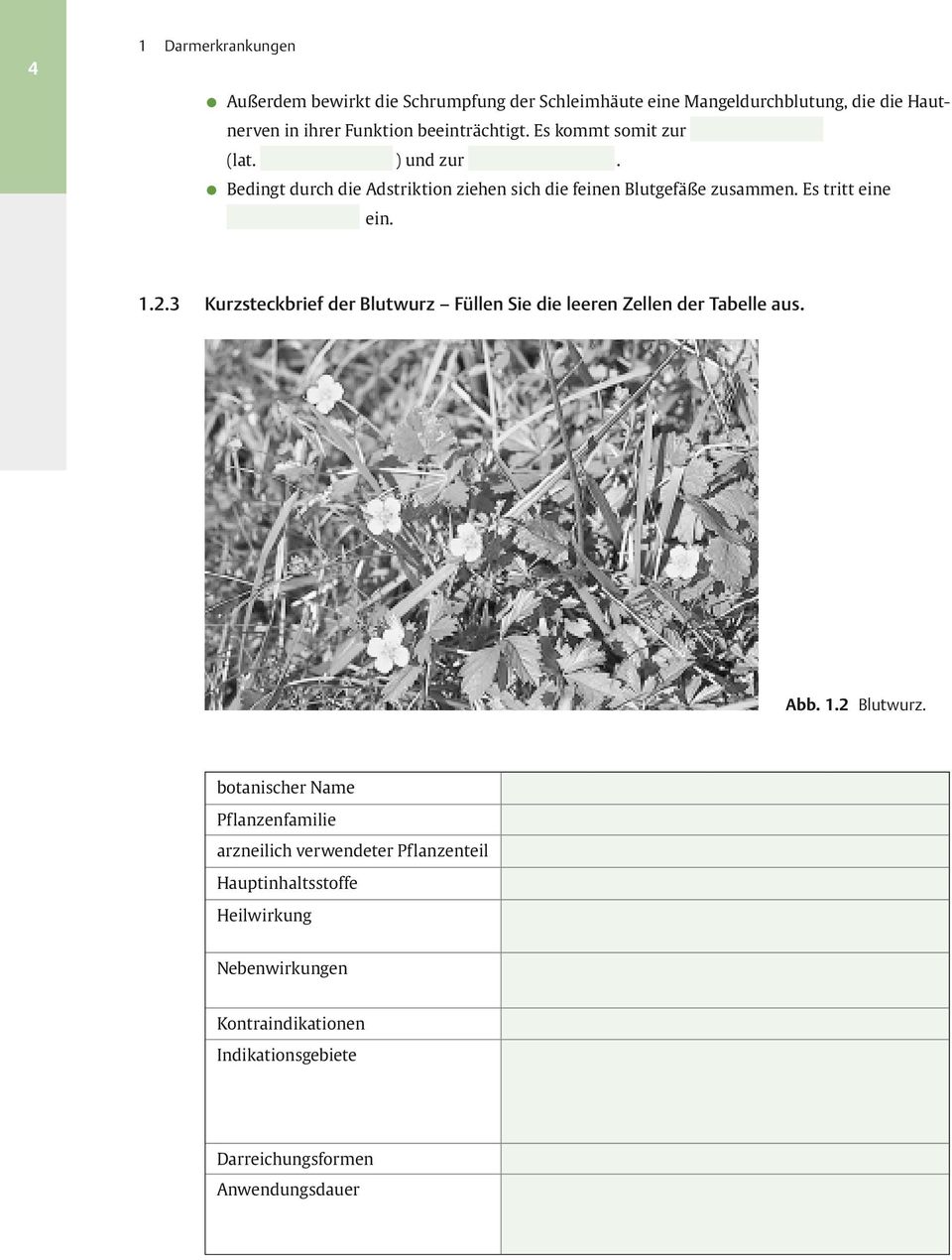 Es tritt eine ein. 1.2.3 Kurzsteckbrief der Blutwurz Füllen Sie die leeren Zellen der Tabelle aus. Abb. 1.2 Blutwurz.