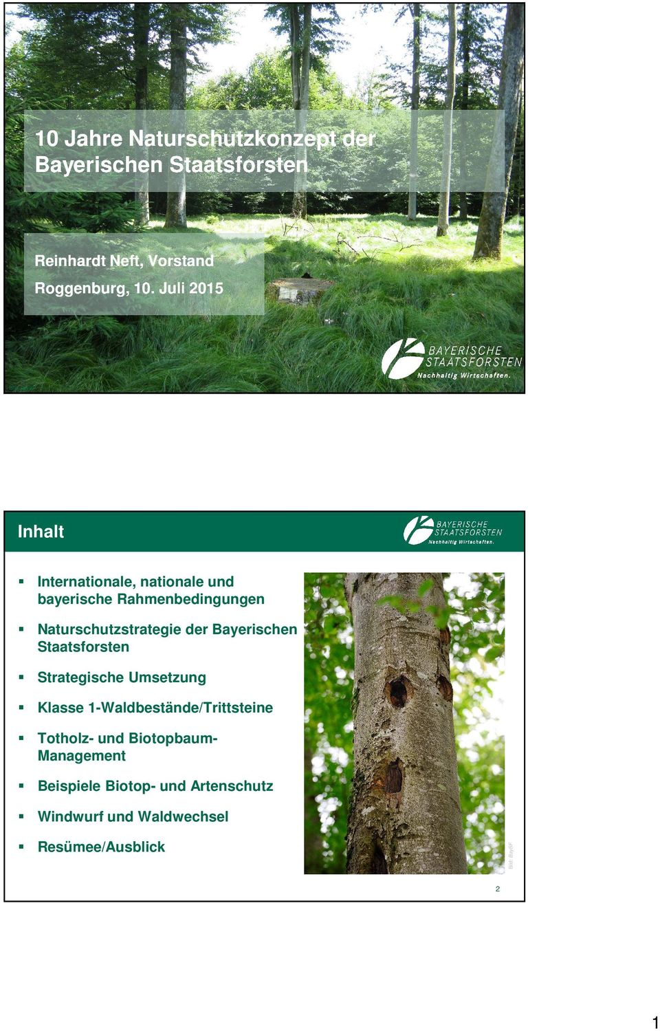 Naturschutzstrategie der Bayerischen Staatsfrsten Strategische Umsetzung Klasse