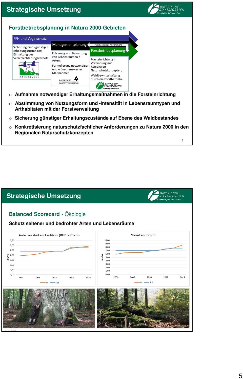 günstiger Erhaltungszustände auf Ebene des Waldbestandes Knkretisierung naturschutzfachlicher Anfrderungen zu Natura 2000 in