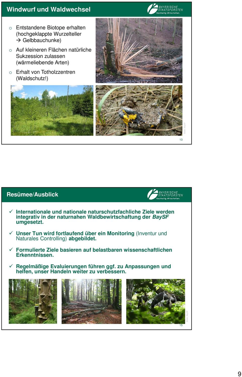 ) 13 Resümee/Ausblick Internatinale und natinale naturschutzfachliche Ziele werden integrativ in der naturnahen Waldbewirtschaftung der BaySF umgesetzt.