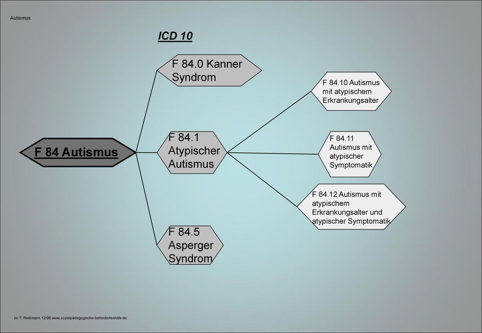 1 Atypischer Autismus F 84.