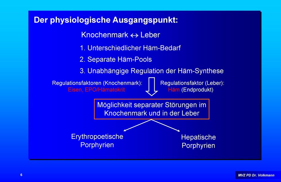 Unabhängige Regulation der Häm-Synthese Regulationsfaktoren (Knochenmark): Eisen,
