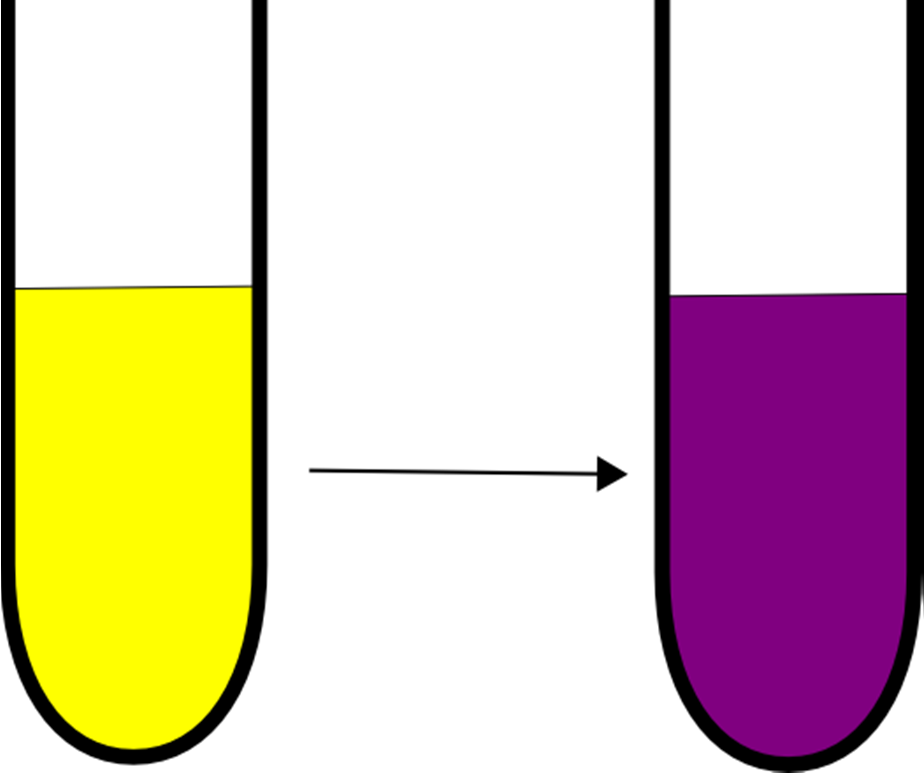 3 Lehrerversuche 6 Abbildung 2: Nach Zugabe der Natronlauge färbt sich die Lösung violett. Beobachtung: Deutung: Entsorgung: Nach Zugabe der Natronlauge färbt sich die gelbe Lösung schnell violett.