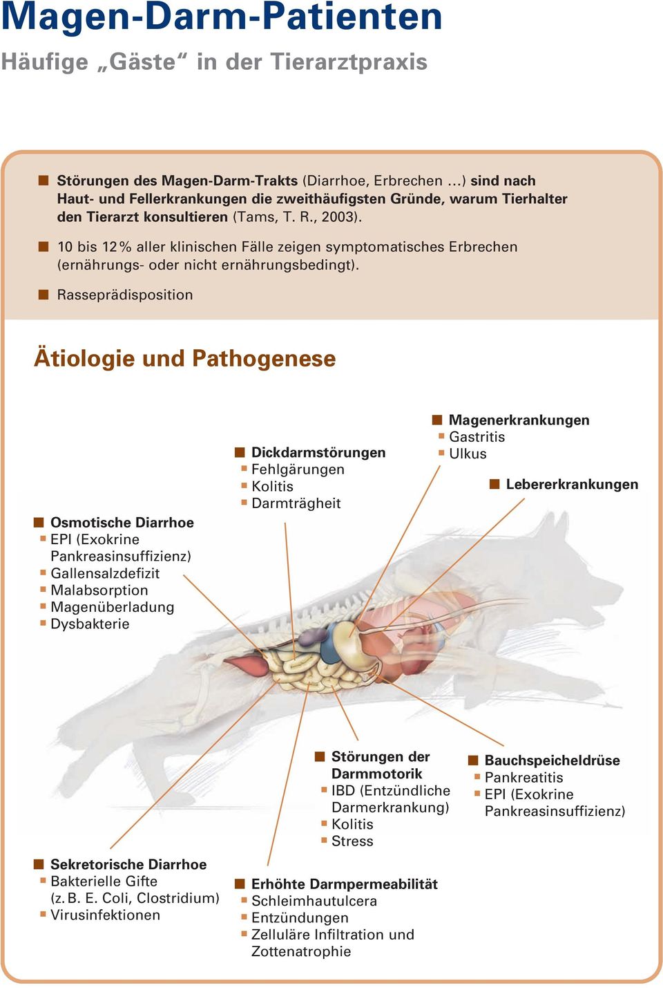 Rasseprädisposition Ätiologie und Pathogenese Osmotische Diarrhoe EPI (Exokrine Pankreasinsuffizienz) Gallensalzdefizit Malabsorption Magenüberladung Dysbakterie Dickdarmstörungen Fehlgärungen