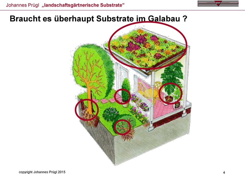 Substrate im