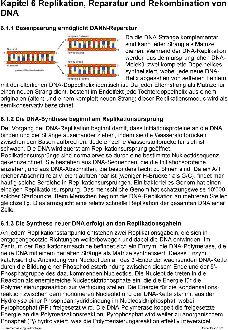 DNA-Doppelhelix identisch ist.