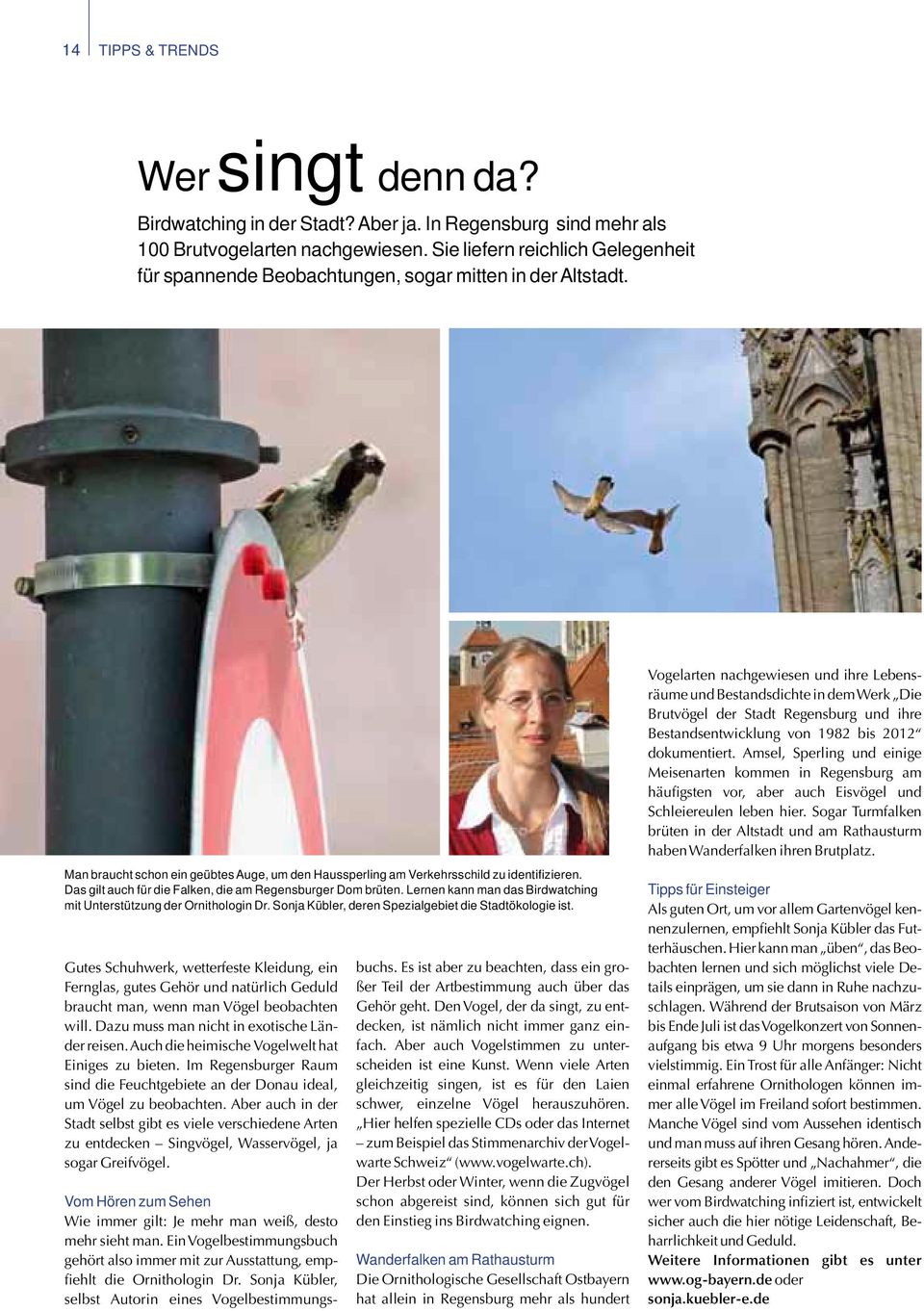 Das gilt auch für die Falken, die am Regensburger Dom brüten. Lernen kann man das Birdwatching mit Unterstützung der Ornithologin Dr. Sonja Kübler, deren Spezialgebiet die Stadtökologie ist.