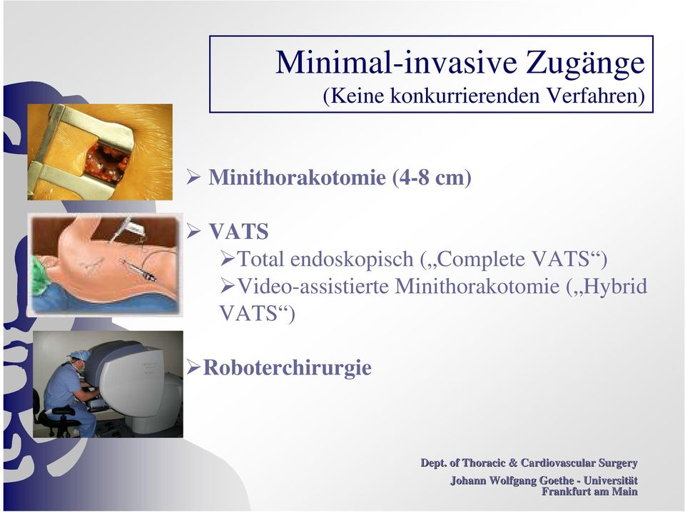endoskopisch ( Complete VATS ) Video-assistierte