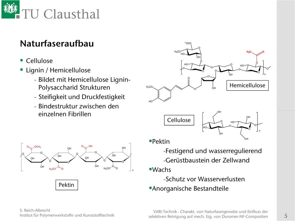 Pektin Wachs H 3 C H C H Cellulose H H H H H H H 3 C Hemicellulose H -Festigend und wasserregulierend -Gerüstbaustein der