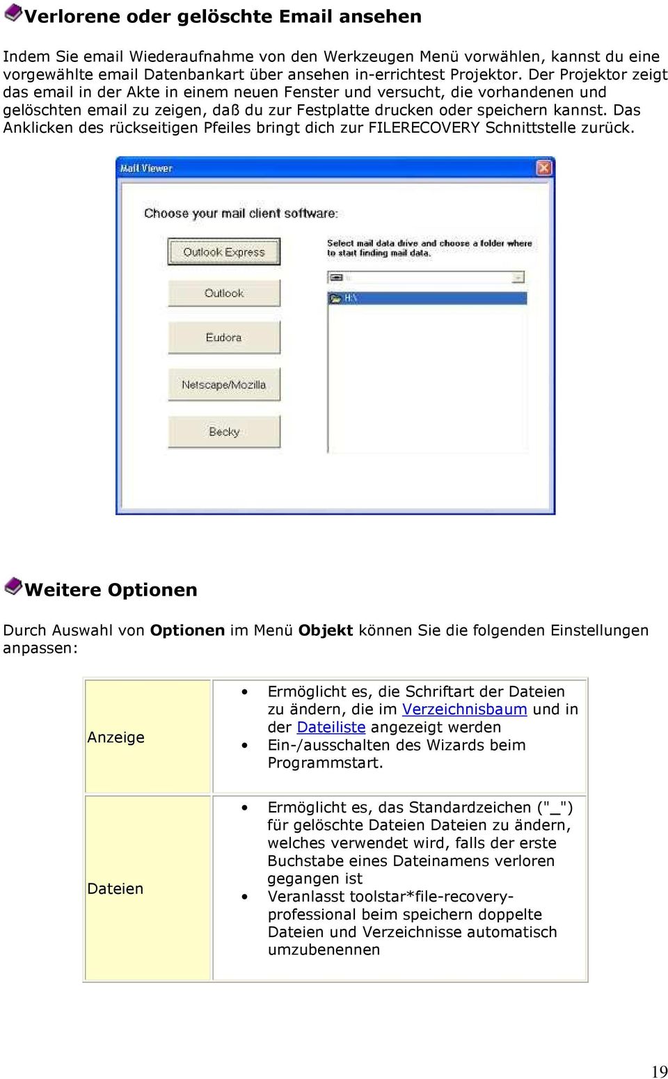 Das Anklicken des rückseitigen Pfeiles bringt dich zur FILERECOVERY Schnittstelle zurück.