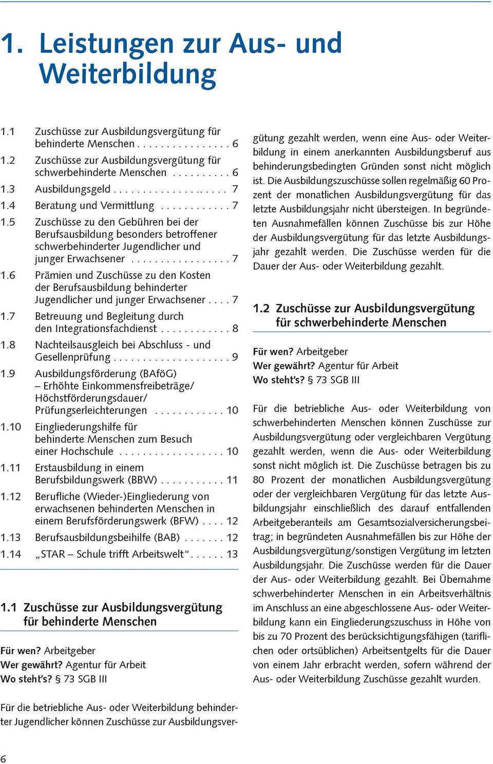 ................ 7 1.6 Prämien und Zuschüsse zu den Kosten der Berufsausbildung behinderter Jugendlicher und junger Erwachsener.... 7 1.7 Betreuung und Begleitung durch den Integrationsfachdienst.