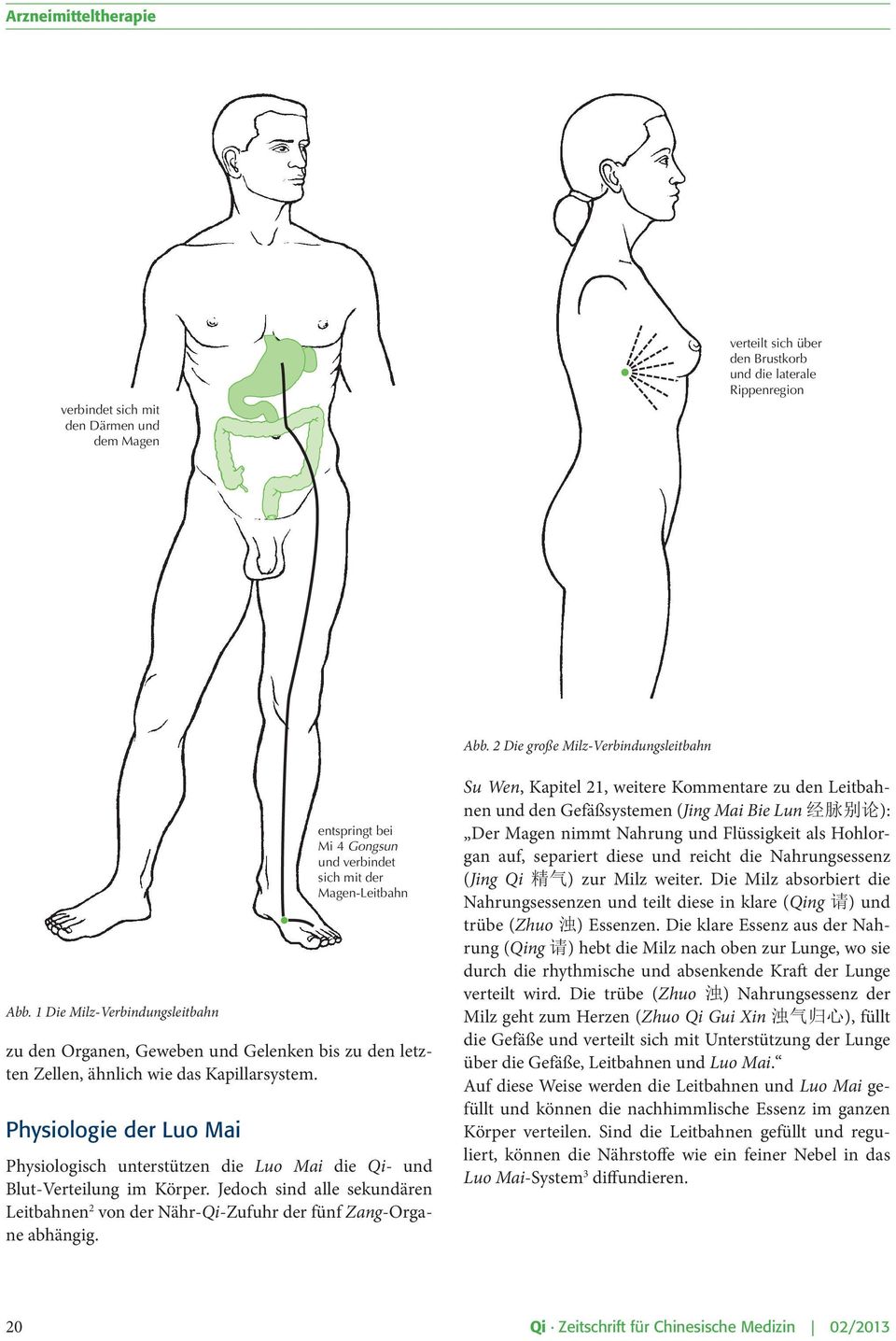 Physiologie der Luo Mai entspringt bei Mi 4 Gongsun und verbindet sich mit der Magen-Leitbahn Physiologisch unterstützen die Luo Mai die Qi- und Blut-Verteilung im Körper.