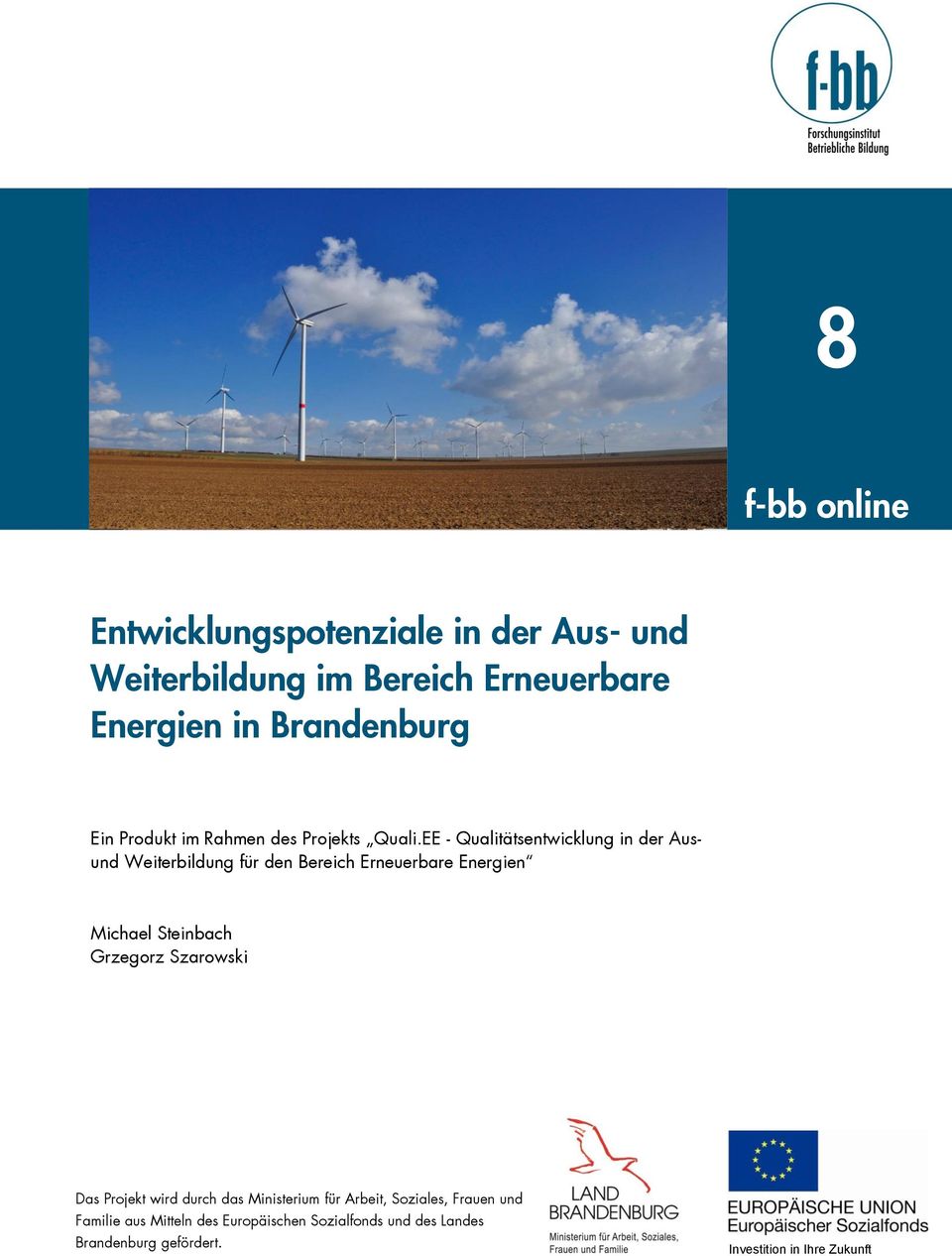 EE - Qualitätsentwicklung in der Ausund Weiterbildung für den Bereich Erneuerbare Energien Michael Steinbach Grzegorz