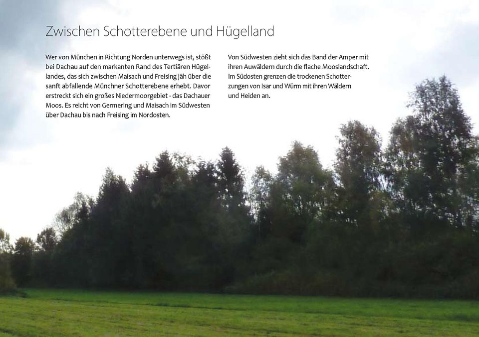 Davor erstreckt sich ein großes Niedermoorgebiet - das Dachauer Moos.