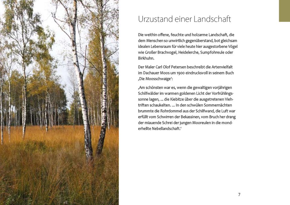 Der Maler Carl Olof Petersen beschreibt die Artenvielfalt im Dachauer Moos um 1900 eindrucksvoll in seinem Buch Die Moosschwaige : Am schönsten war es, wenn die gewaltigen vorjährigen Schilfwälder im