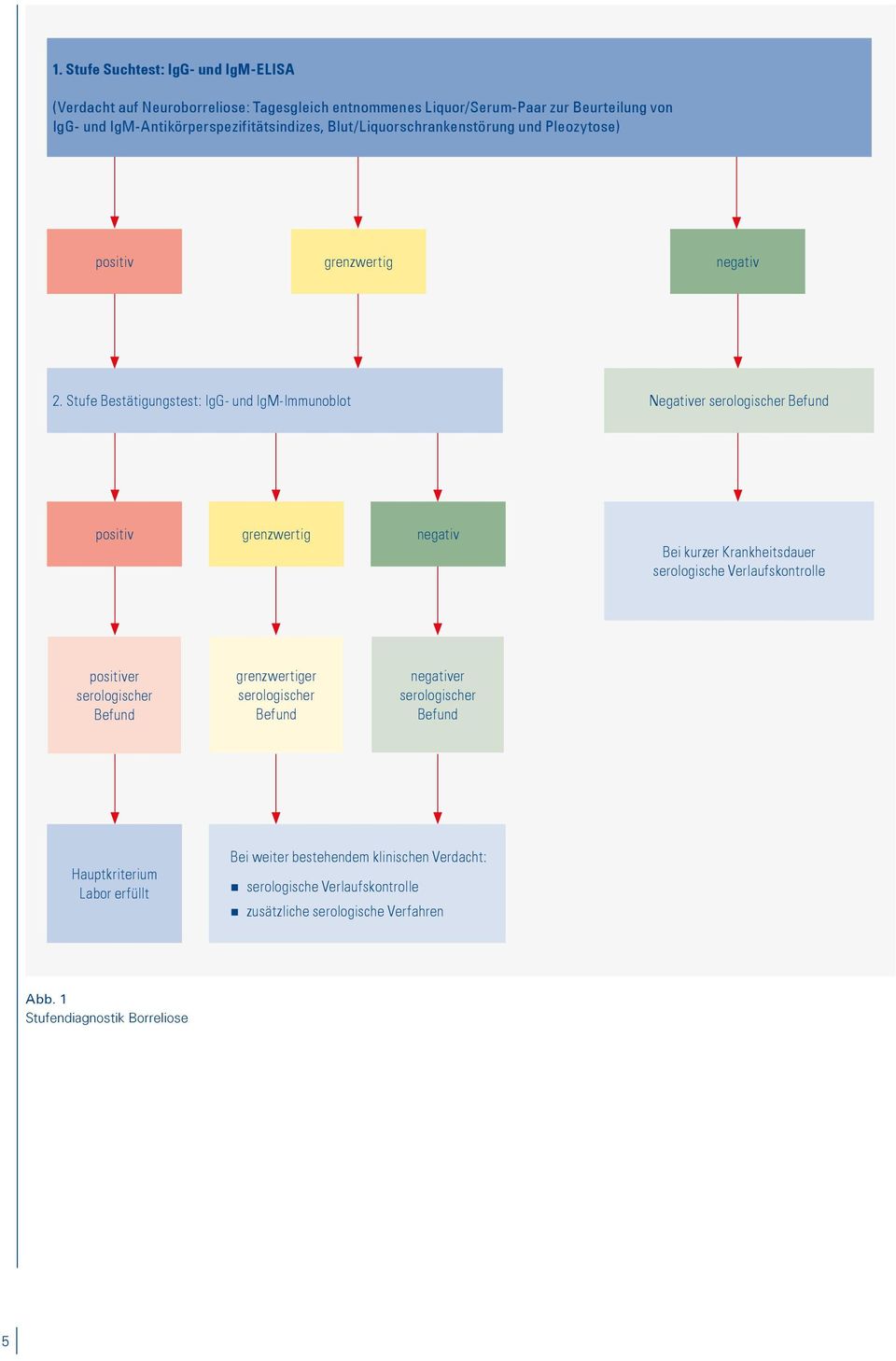 Stufe Bestätigungstest: IgG- und IgM-Immunoblot Negativer serologischer Befund positiv grenzwertig negativ Bei kurzer Krankheitsdauer serologische Verlaufskontrolle