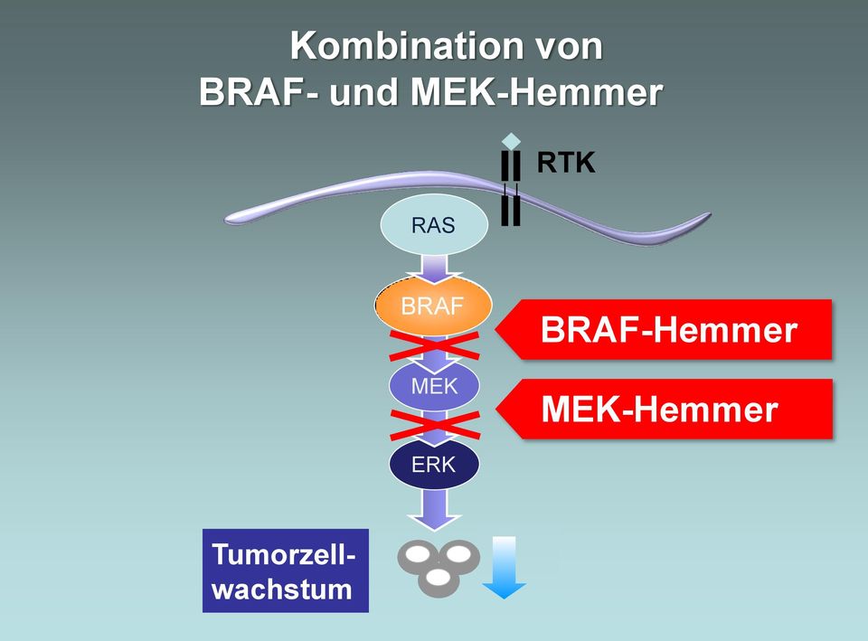 BRAF MEK BRAF-Hemmer