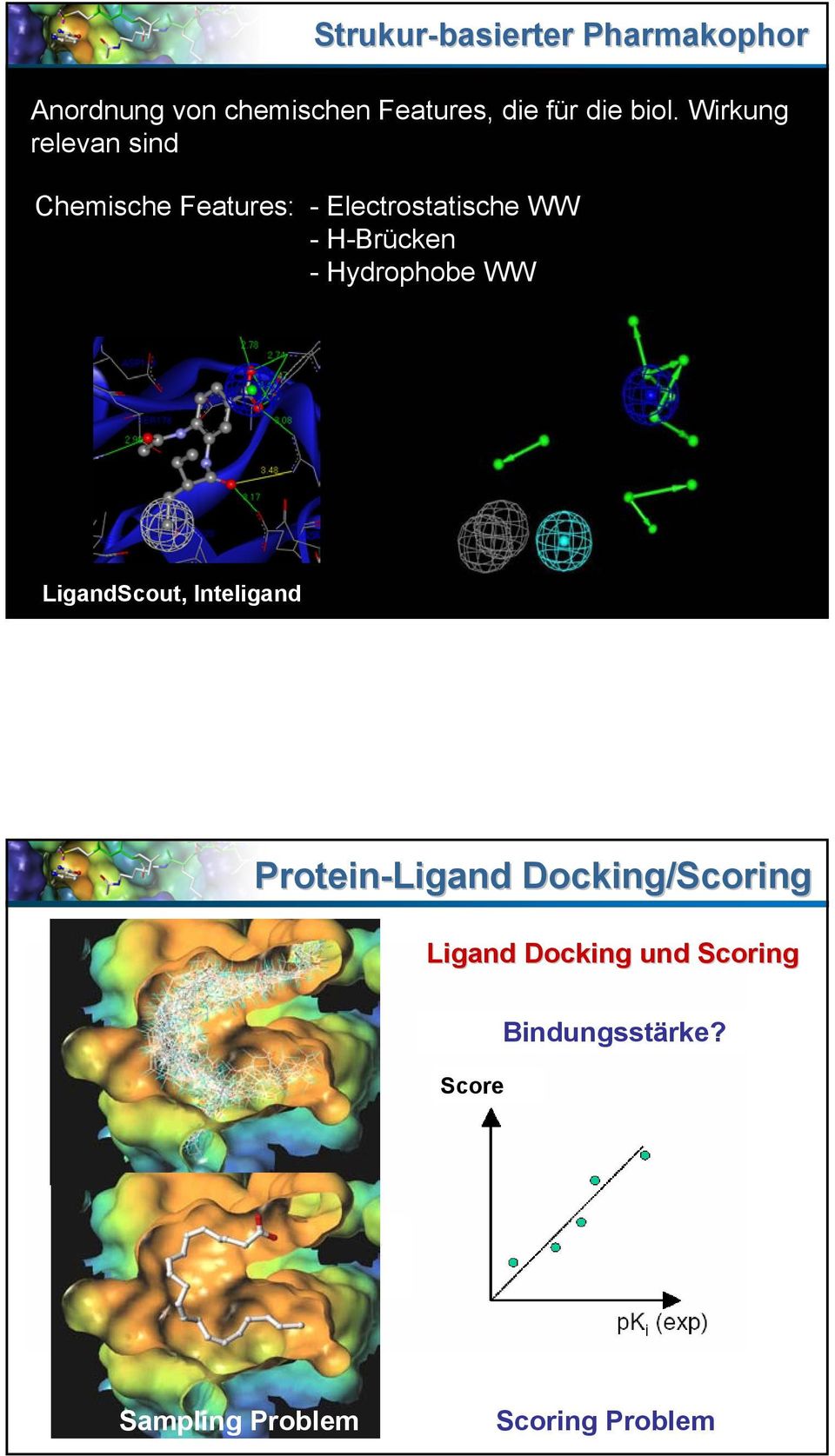 -Brücken - ydrophobe WW LigandScout, Inteligand Protein-Ligand