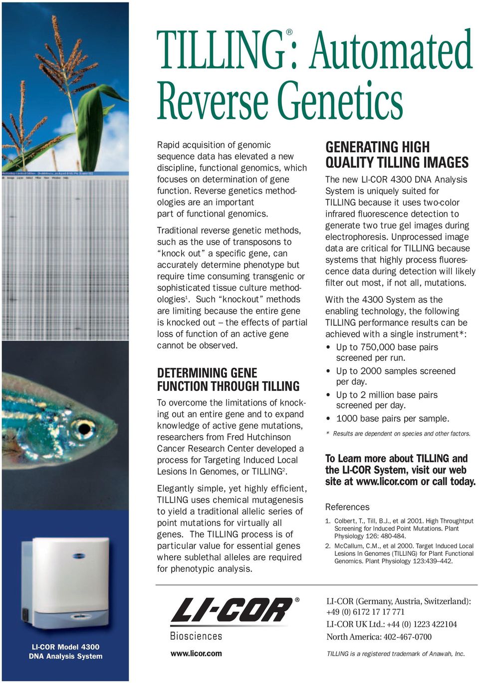 Traditional reverse genetic methods, such as the use of transposons to knock out a specific gene, can accurately determine phenotype but require time consuming transgenic or sophisticated tissue