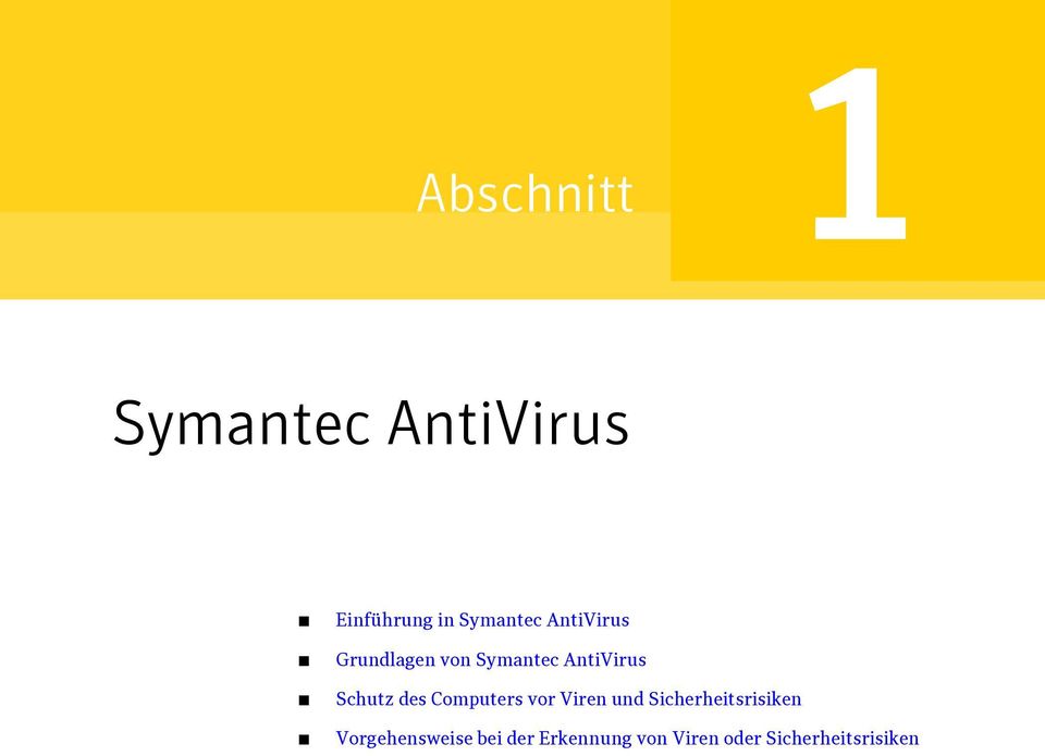 Computers vor Viren und Sicherheitsrisiken