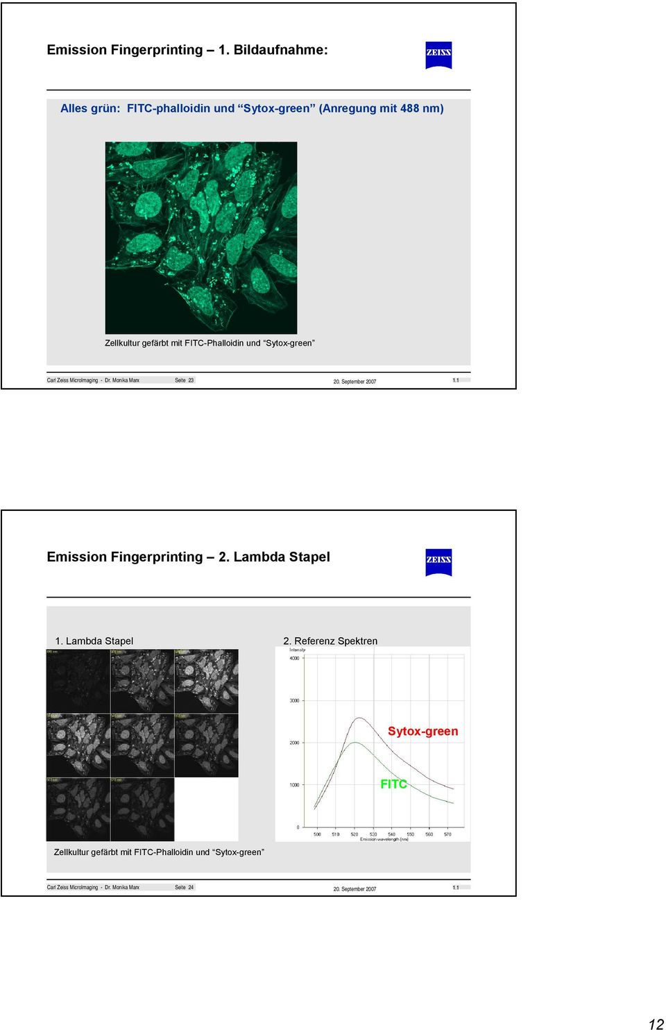 FITC-Phalloidin und Sytox-green Carl Zeiss MicroImaging - Dr.