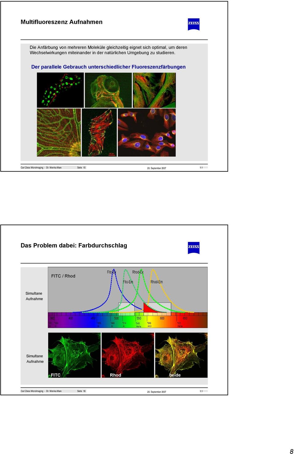Der parallele Gebrauch unterschiedlicher Fluoreszenzfärbungen Carl Zeiss MicroImaging - Dr.