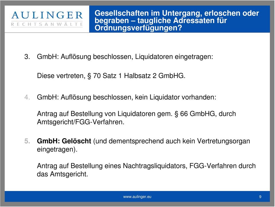 66 GmbHG, durch Amtsgericht/FGG-Verfahren. 5.