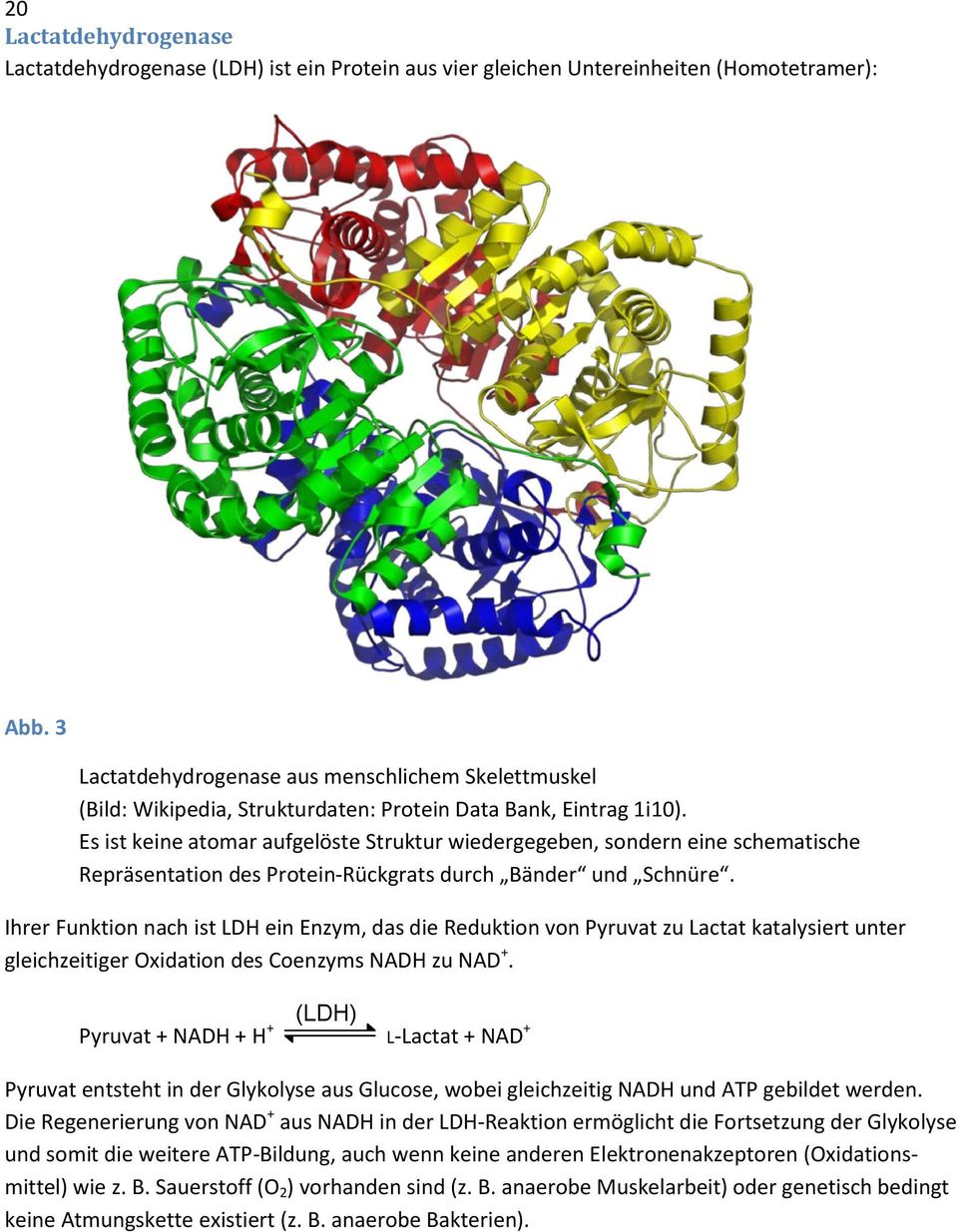 Es ist keine atomar aufgelöste Struktur wiedergegeben, sondern eine schematische Repräsentation des Protein-Rückgrats durch Bänder und Schnüre.