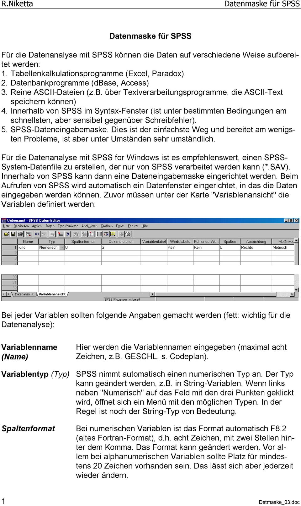 Innerhalb von SPSS im Syntax-Fenster (ist unter bestimmten Bedingungen am schnellsten, aber sensibel gegenüber Schreibfehler). 5. SPSS-Dateneingabemaske.