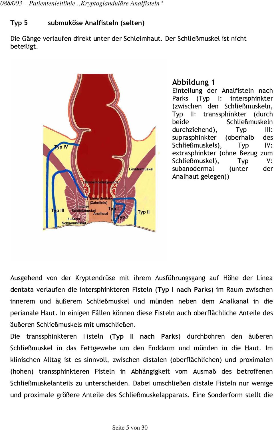 (oberhalb des Schließmuskels), Typ IV: extrasphinkter (ohne Bezug zum Schließmuskel), Typ V: subanodermal (unter der Analhaut gelegen)) Ausgehend von der Kryptendrüse mit ihrem Ausführungsgang auf