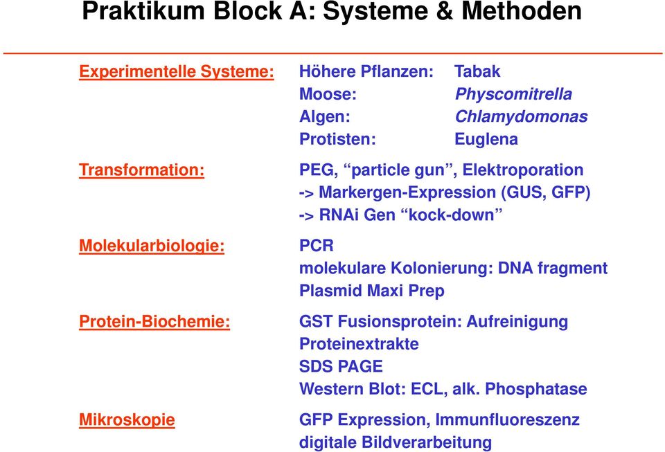 Markergen-Expression (GUS, GFP) -> RNAi Gen kock-down PCR molekulare Kolonierung: DNA fragment Plasmid Maxi Prep GST