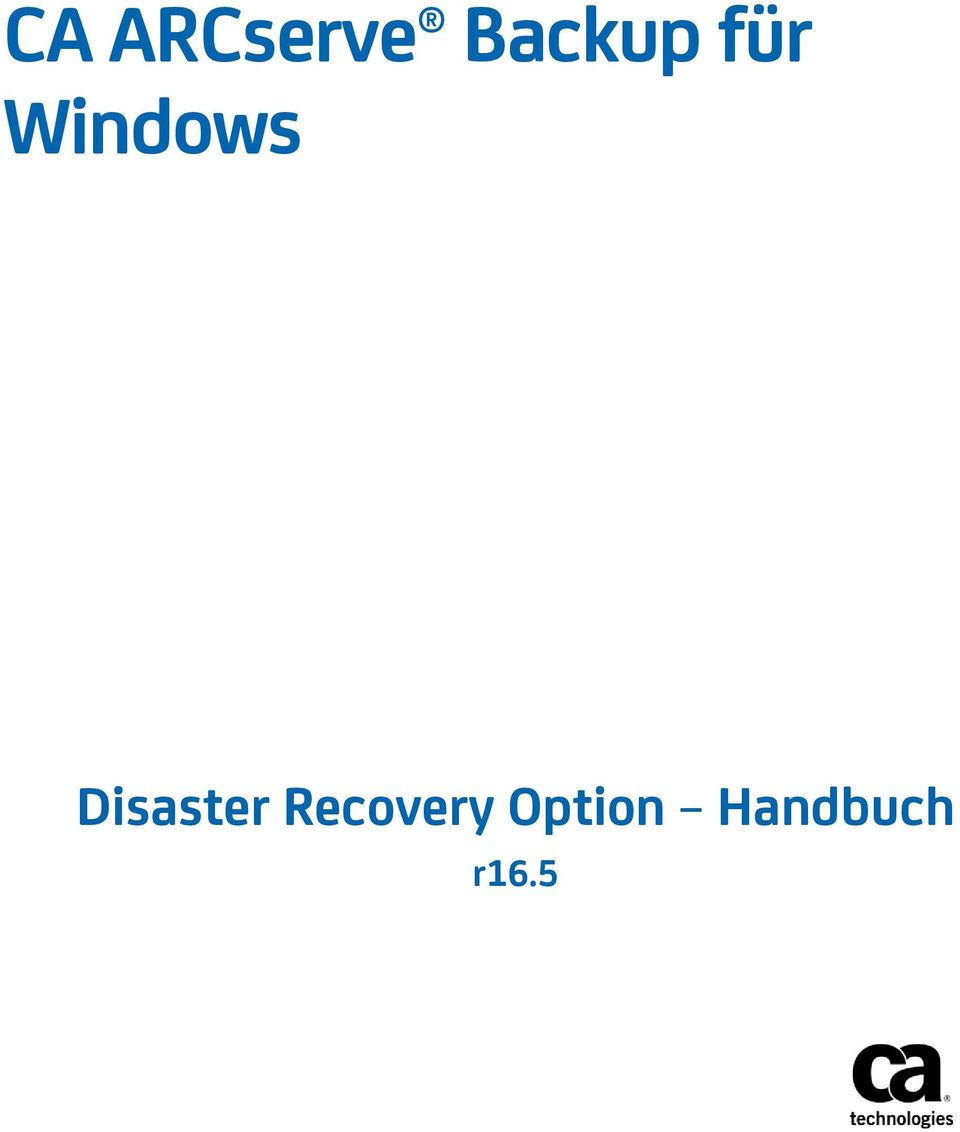 Windows Disaster