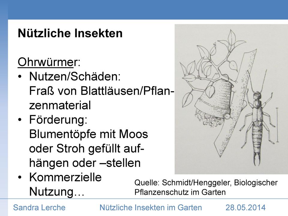 Moos oder Stroh gefüllt aufhängen oder stellen