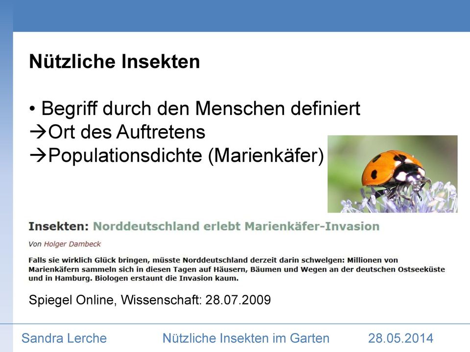 Populationsdichte (Marienkäfer)