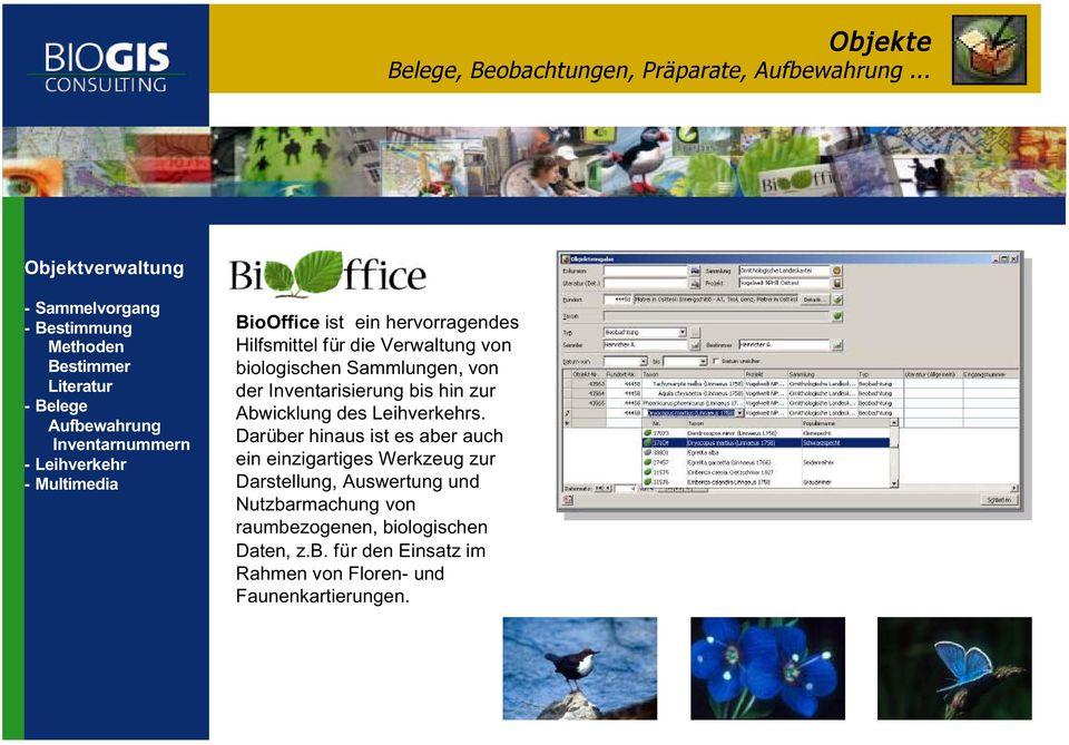 BioOffice ist ein hervorragendes Hilfsmittel für die Verwaltung von biologischen Sammlungen, von der Inventarisierung bis hin zur Abwicklung