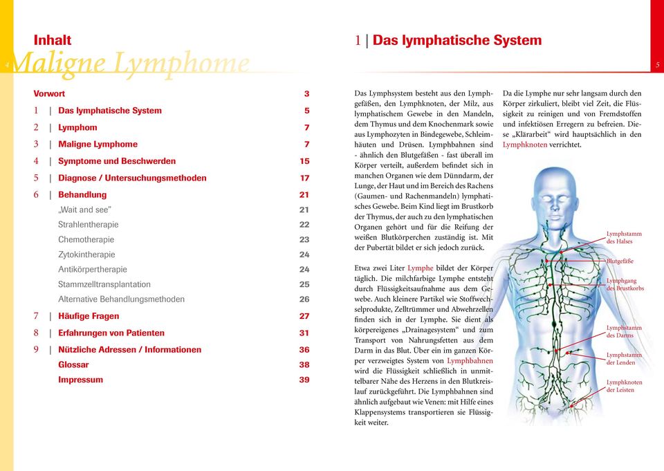 31 9 Nützliche Adressen / Informationen 36 Glossar 38 Impressum 39 Das Lymphsystem besteht aus den Lymphgefäßen, den Lymphknoten, der Milz, aus lymphatischem Gewebe in den Mandeln, dem Thymus und dem