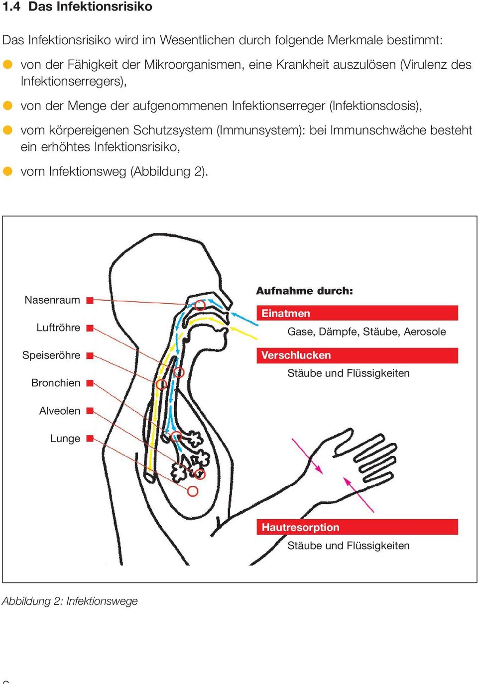(Immunsystem): bei Immunschwäche besteht ein erhöhtes Infektionsrisiko, vom Infektionsweg (Abbildung 2).