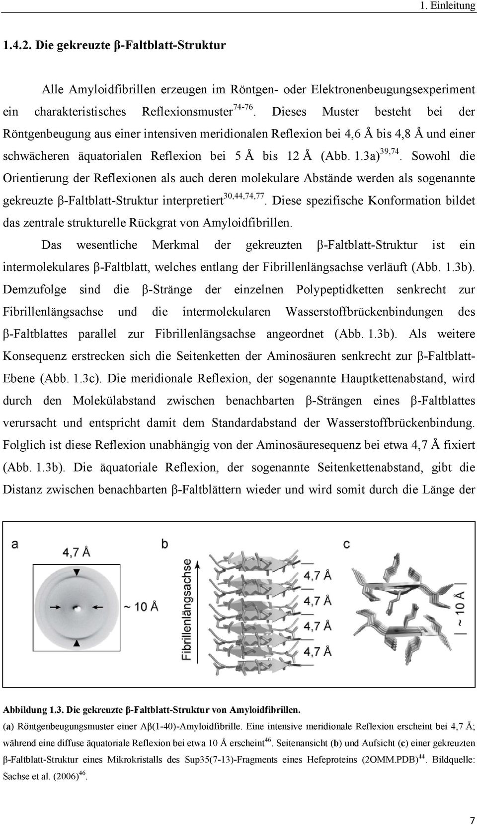 Sowohl die Orientierung der Reflexionen als auch deren molekulare Abstände werden als sogenannte gekreuzte β-faltblatt-struktur interpretiert 30,44,74,77.