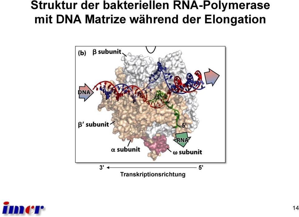 Matrize während der