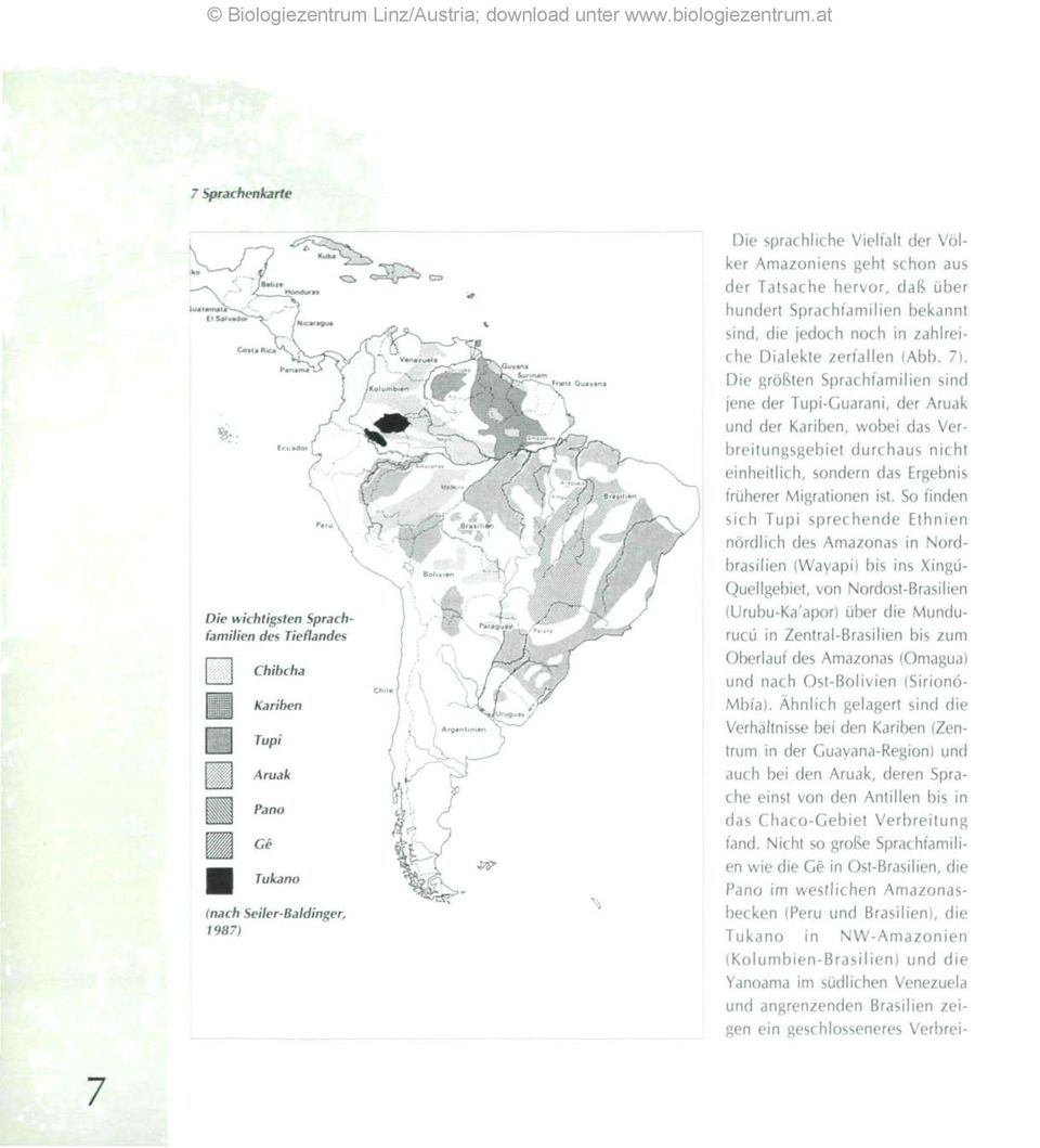 Die größten Sprachfamilien sind jene der Tupi-Cuarani, der Aruak und der Kariben, wobei das Verbreitungsgebiet durchaus nicht einheitlich, sondern das Ergebnis früherer Migrationen ist.