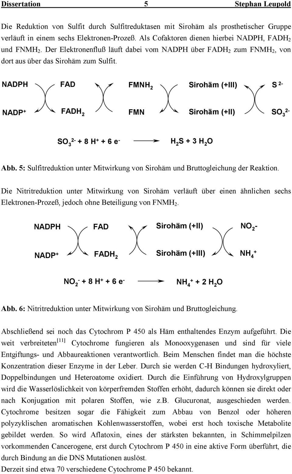 ADP FAD FM 2 irohäm (+III) 2- ADP + FAD 2 FM irohäm (+II) 3 2-3 2- + 8 + + 6 e - 2 + 3 2 Abb. 5: ulfitreduktion unter Mitwirkung von irohäm und Bruttogleichung der Reaktion.