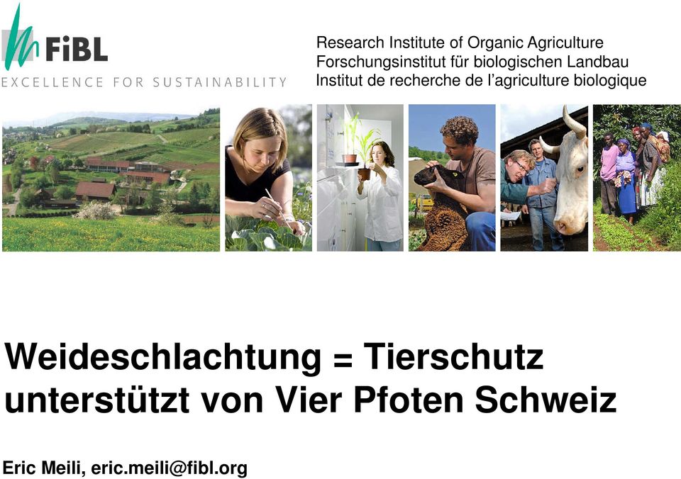 recherche de l agriculture biologique Weideschlachtung =