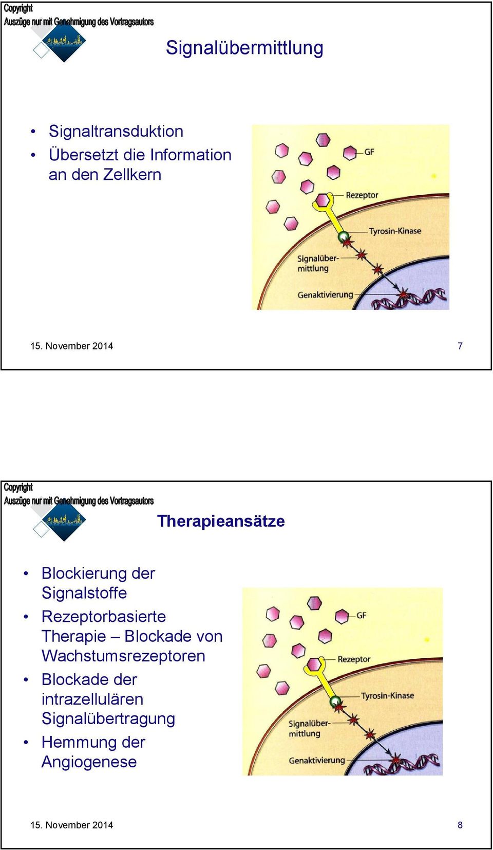Rezeptorbasierte Therapie Blockade von Wachstumsrezeptoren