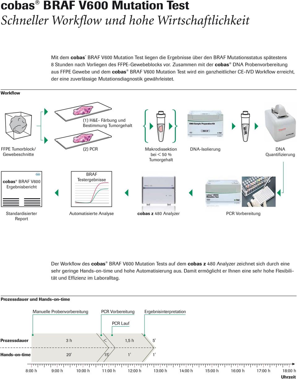 Zusammen mit der cobas T DNA Probenvorbereitung aus FFPE Gewebe und dem cobas T BRAF V600 Mutation Test wird ein ganzheitlicher CE-IVD Workflow erreicht, der eine zuverlässige Mutationsdiagnostik